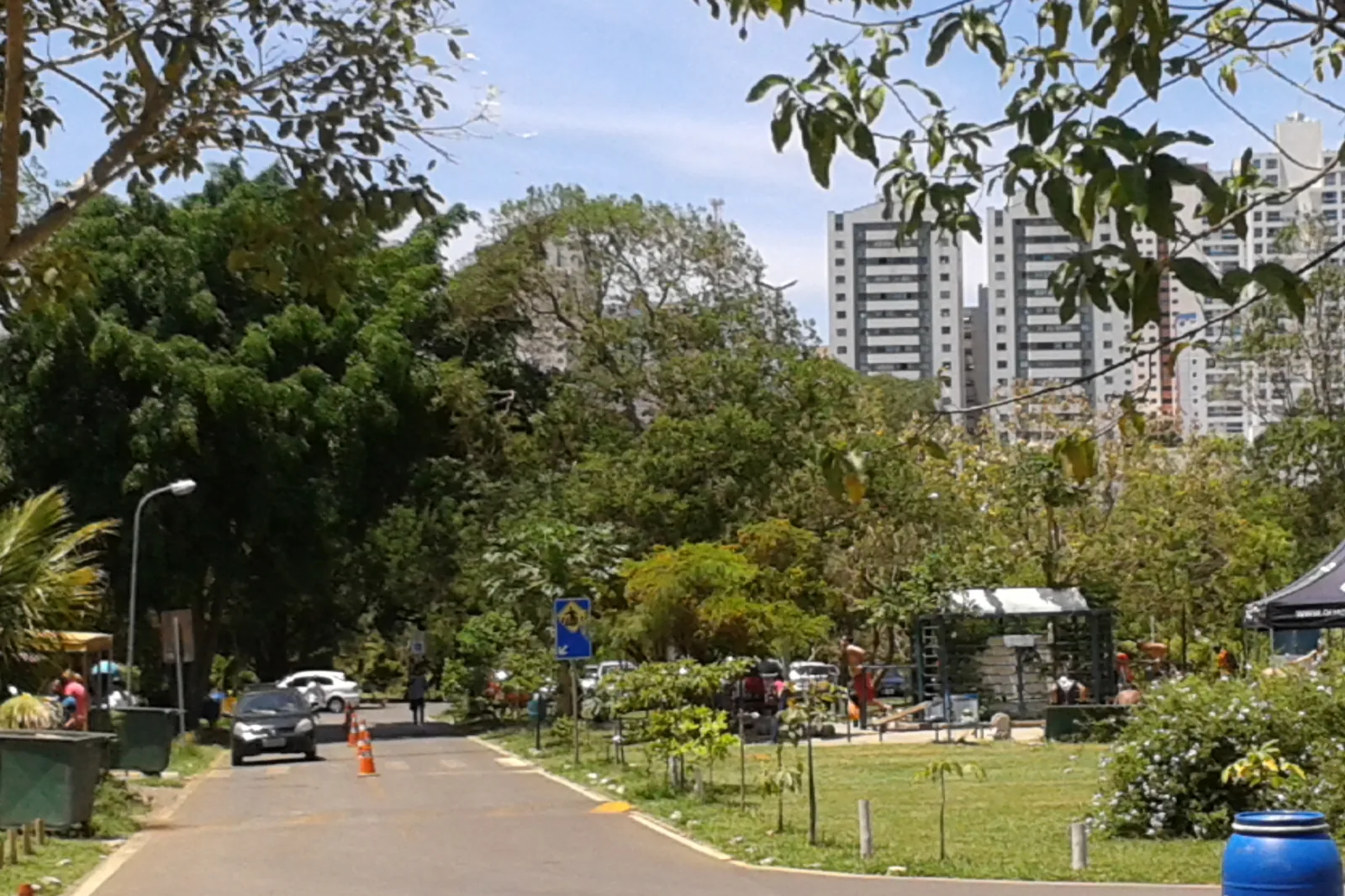 Área verde com árvores e prédios ao fundo em Águas Claras, no Distrito Federal