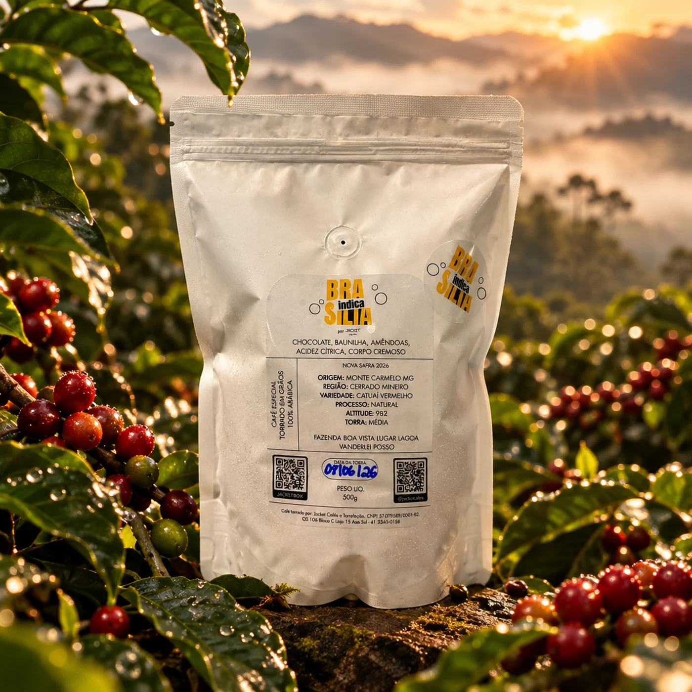 Pacote do Café Brasília Indica na lavoura de café ao amanhecer, com frutos maduros no pé