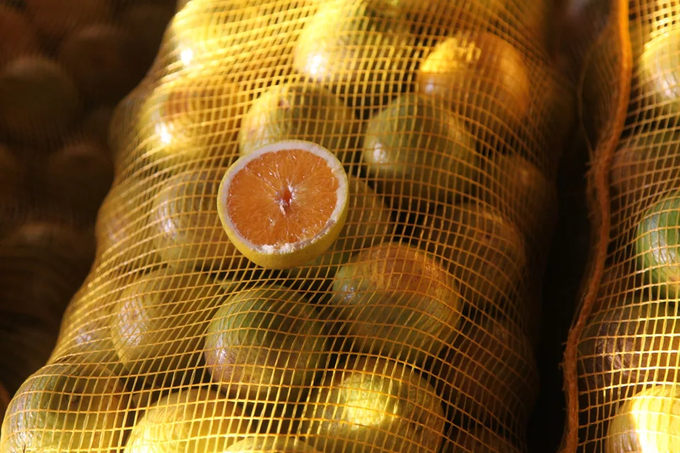 Laranjas em rede, em foto de arquivo do Ceasa-DF. Foto: Gisele Porcaro/CC BY 2.0