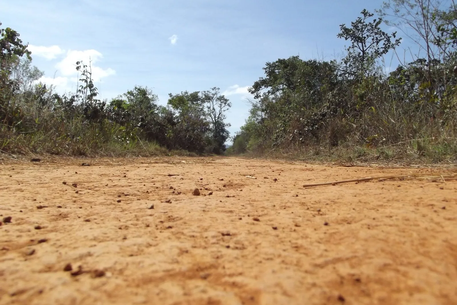Trilha de terra vermelha cercada de vegetação de Cerrado na área Cristal Água, no Parque Nacional de Brasília
