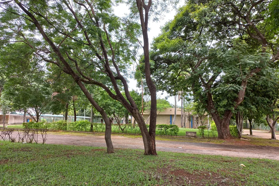 Jardim arborizado da Escola Parque da 308 Sul, em Brasília, com prédio da escola ao fundo