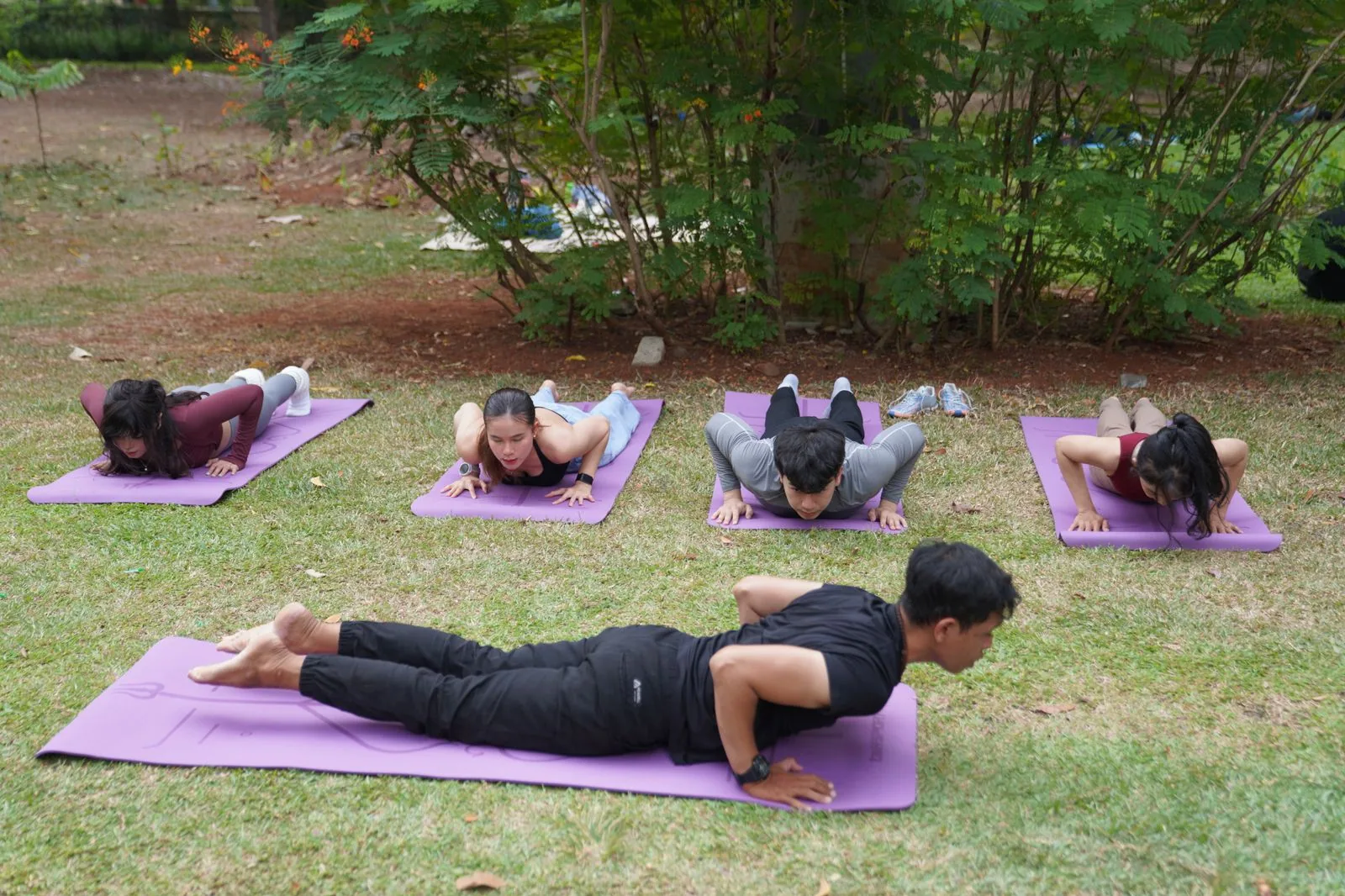 Grupo de adultos faz alongamento em tapetes de yoga num gramado; imagem ilustrativa de banco de fotos