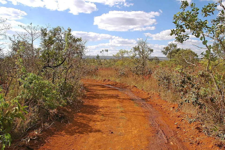 Estrada de terra no Parque Nacional de Brasília, vizinho da Flona e ligado a ela pelo Arco Brasília (foto de arquivo)