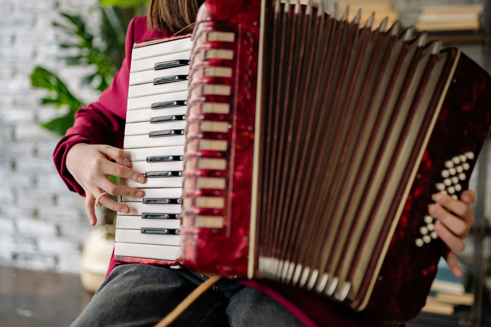 Mãos tocando uma sanfona vermelha de teclas brancas em ambiente interno (foto ilustrativa)