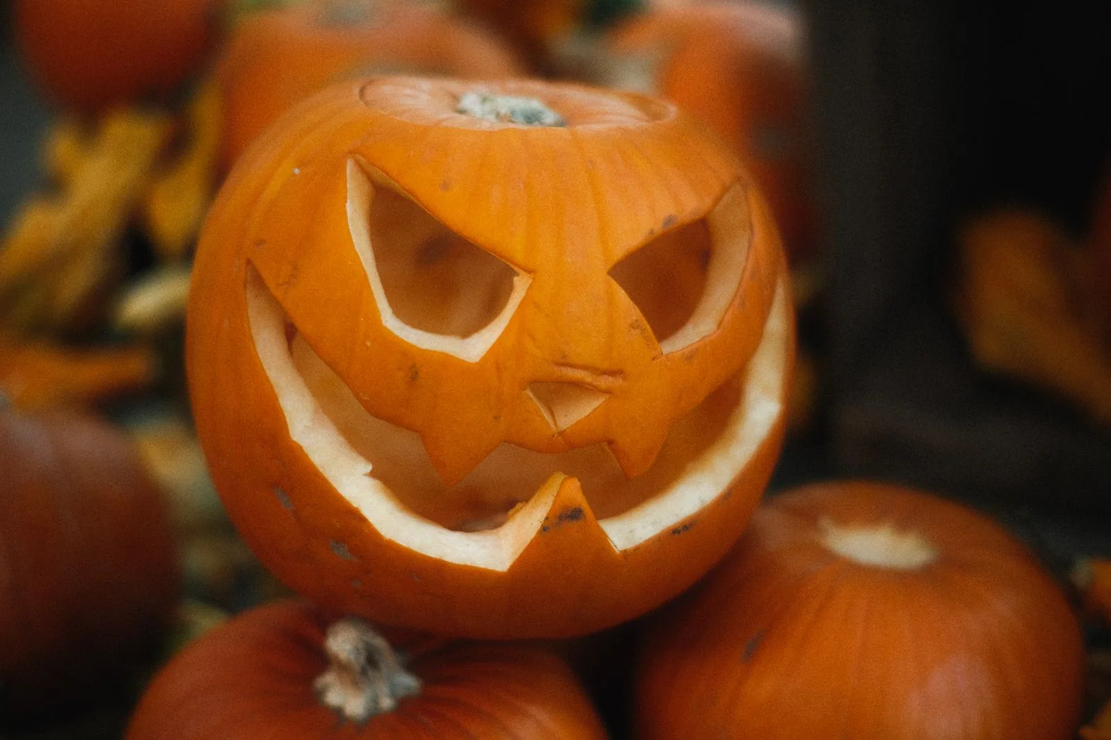 Abóbora esculpida de Halloween em close, em meio a outras abóboras, foto ilustrativa