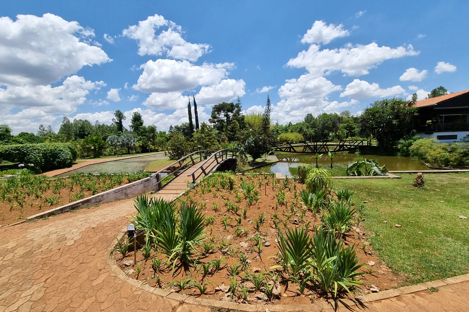Ponte de madeira sobre lago no Jardim Botânico de Brasília, com canteiro de terra vermelha em primeiro plano e céu azul com nuvens