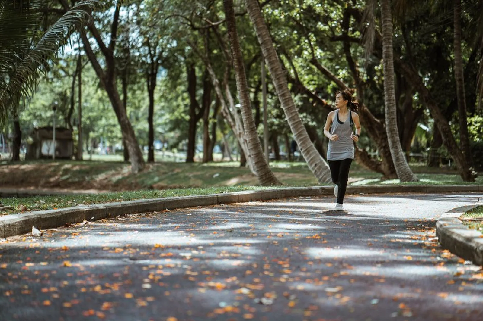 Pessoas correndo em caminho de parque arborizado