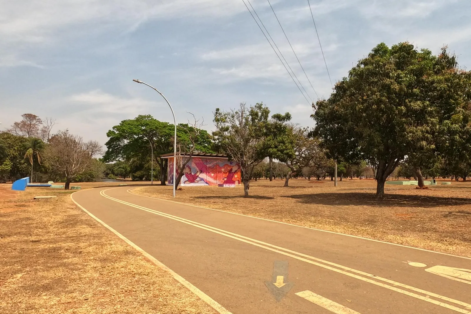 Ciclovia curva do Parque da Cidade Sarah Kubitschek, com árvores e um mural colorido ao fundo