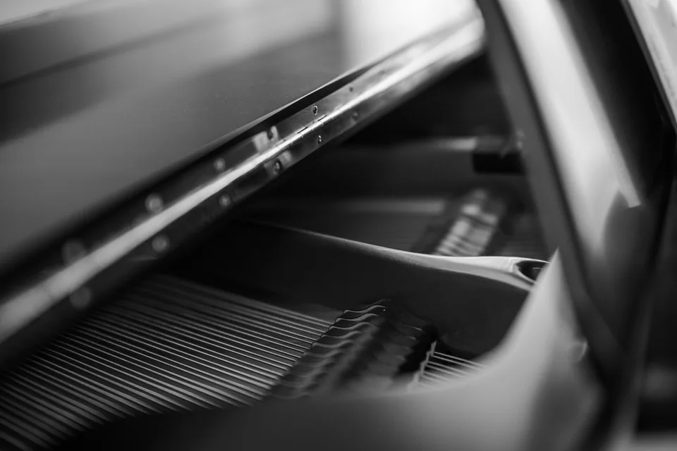 Interior de um piano de cauda em preto e branco, com cordas e martelos em closeup