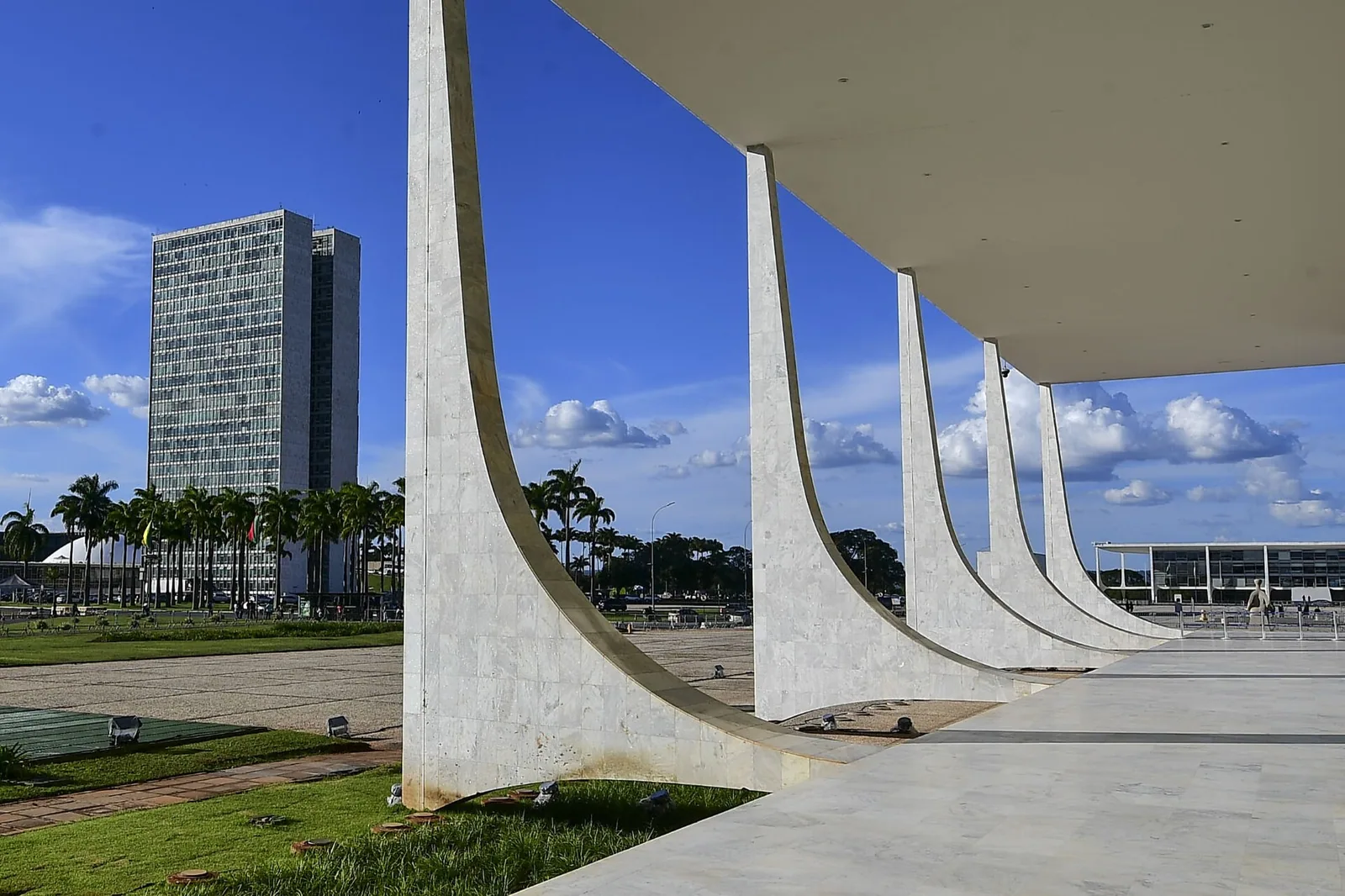 Colunas curvas de mármore na fachada do Supremo Tribunal Federal, com céu azul e palmeiras ao fundo. Foto de arquivo.