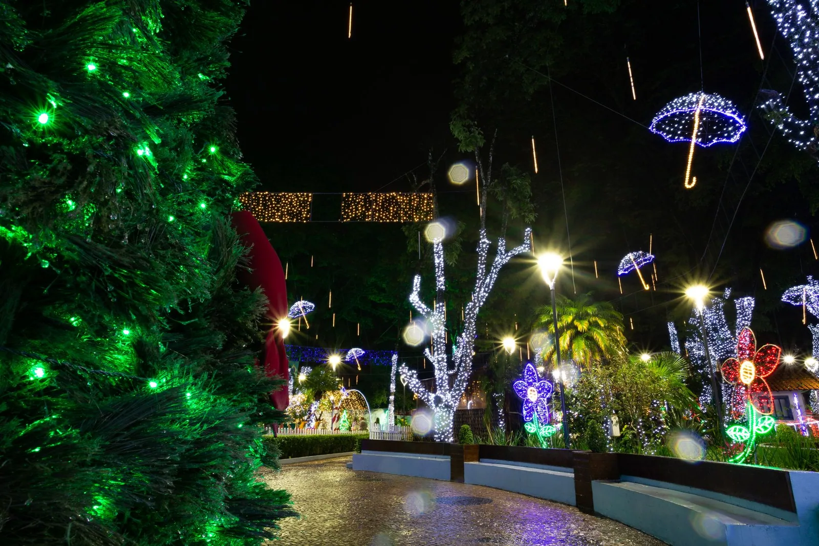 Jardim de luzes natalino à noite, com árvore decorada, guarda-chuvas e flores luminosas ao longo de um caminho de pedra.